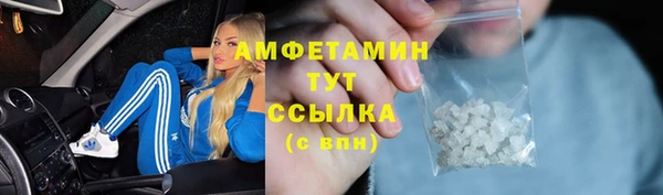 стаф Алзамай