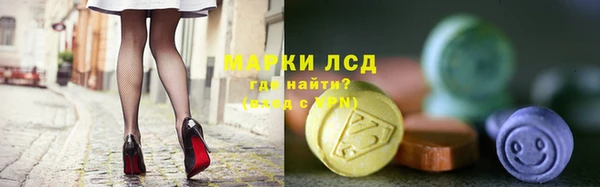стаф Алзамай