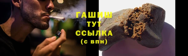 стаф Алзамай