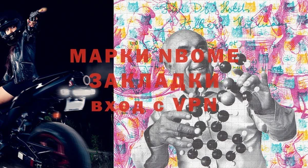 стаф Алзамай