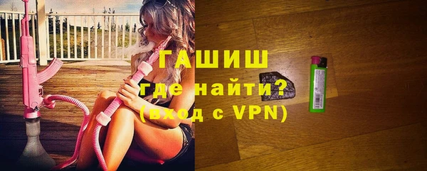 стаф Алзамай