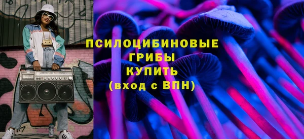 стаф Алзамай