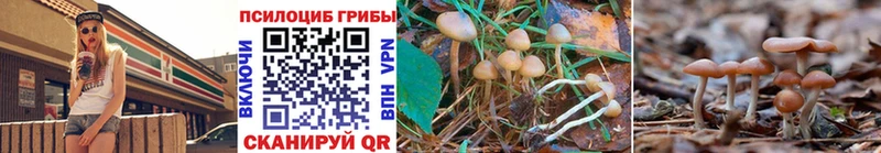 Псилоцибиновые грибы ЛСД  Камешково 
