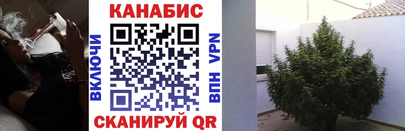 Канабис ГИДРОПОН  цены наркотик  Камешково 
